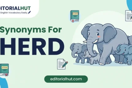 synonyms for herd