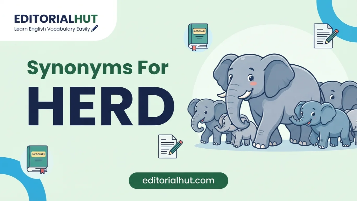 synonyms for herd