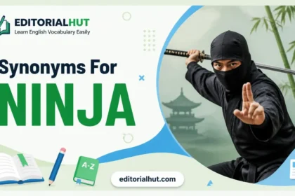 synonyms for ninja