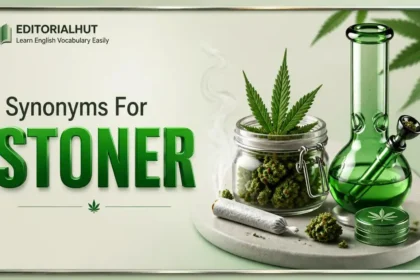 synonyms for stoner