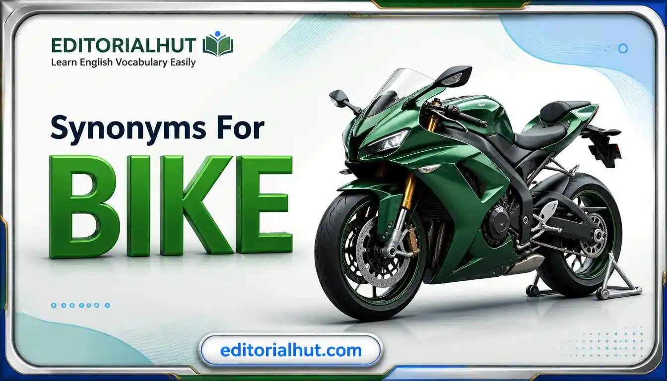 Synonyms for Bike