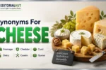 synonyms for cheese