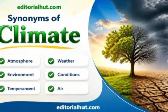 synonyms for climate