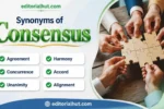 synonyms for consensus