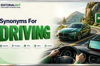 synonyms for driving