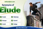 synonyms for elude