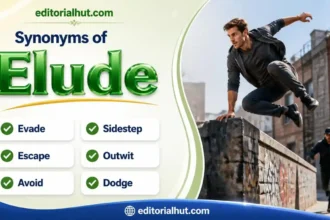 synonyms for elude