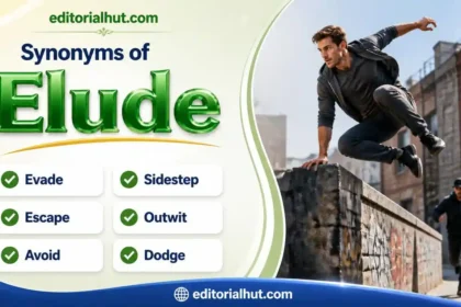 synonyms for elude