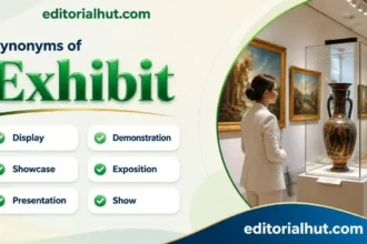 synonyms for exhibit