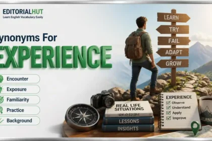 synonyms for experience