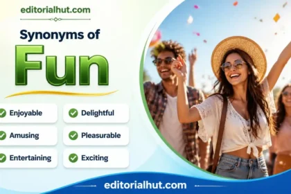 synonyms for fun