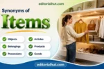 synonyms for items