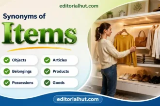 synonyms for items