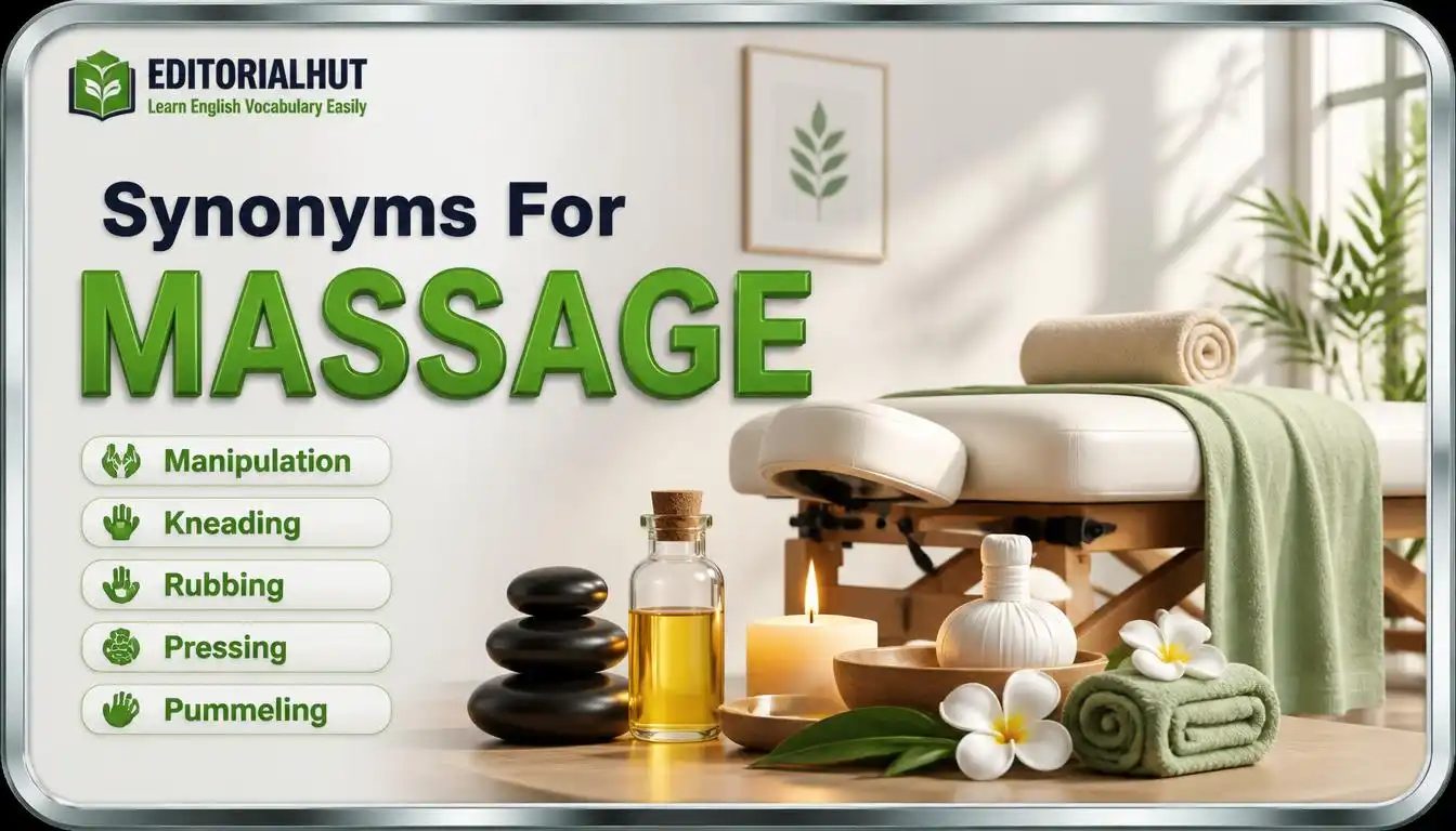 synonyms for massage