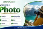 synonyms for photo