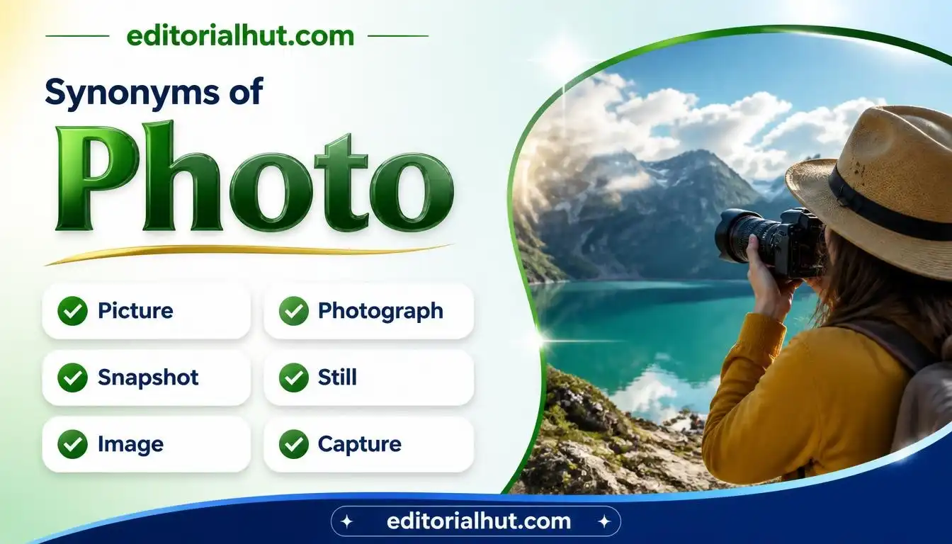 synonyms for photo