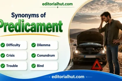 Synonyms for Predicament