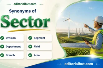 synonyms for sector