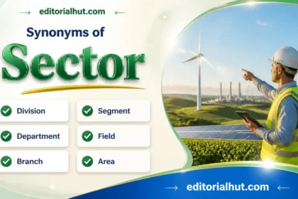 synonyms for sector