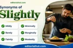 synonyms for slightly