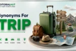 Synonyms for Trip