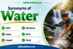 Synonyms for Water