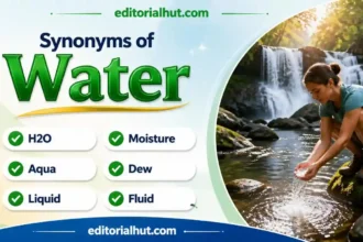 Synonyms for Water