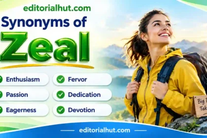 Synonyms for Zeal