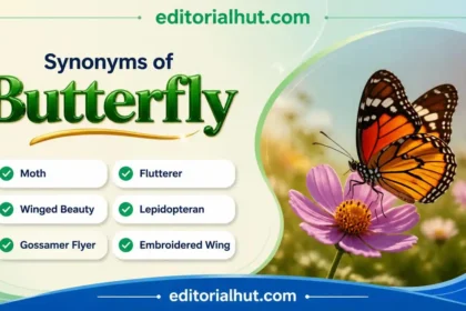 synonyms of butterfly