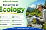synonym for ecology