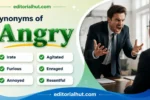 Synonyms for Angry