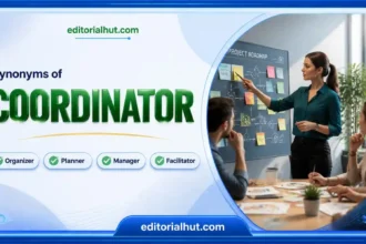 Synonyms for Coordinator