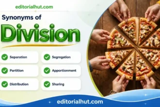 Synonyms for Division