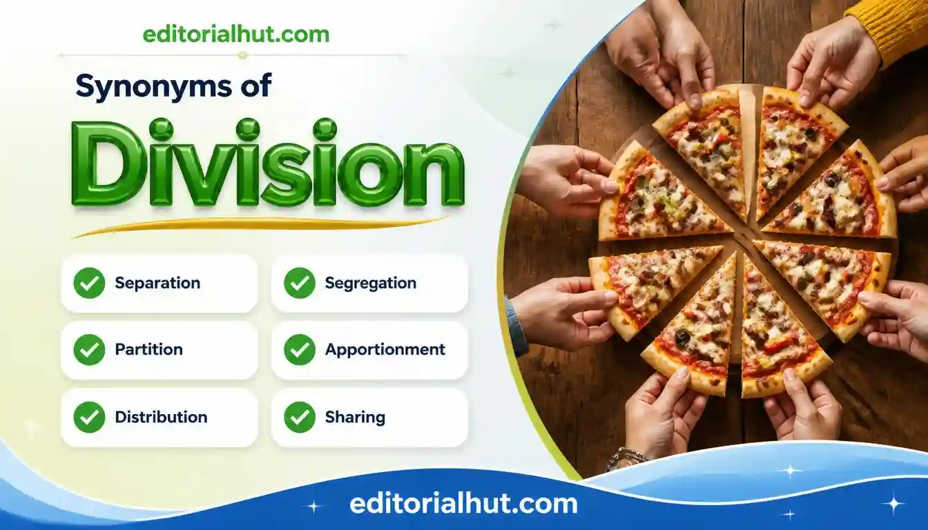 Synonyms for Division