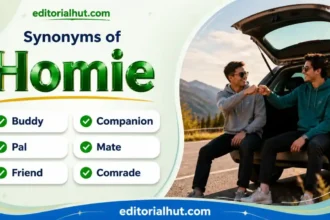 Synonyms for Homie