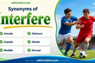 Synonyms for Interfere