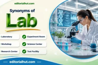 synonyms for lab