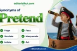 synonyms for pretend