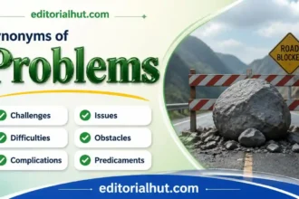 synonyms for problems