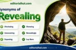 synonyms for revealing