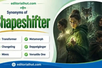 Synonyms for Shapeshifter