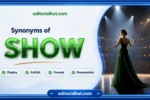 Synonyms for Show