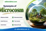 Synonyms of Microcosm
